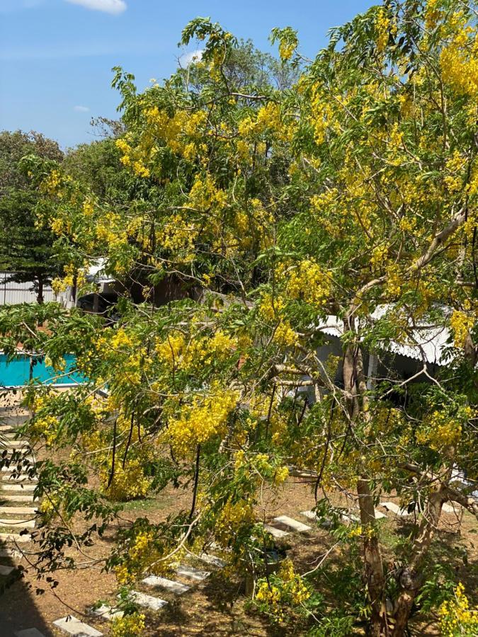 Sapphire Garden Hotel Habarana Exterior foto