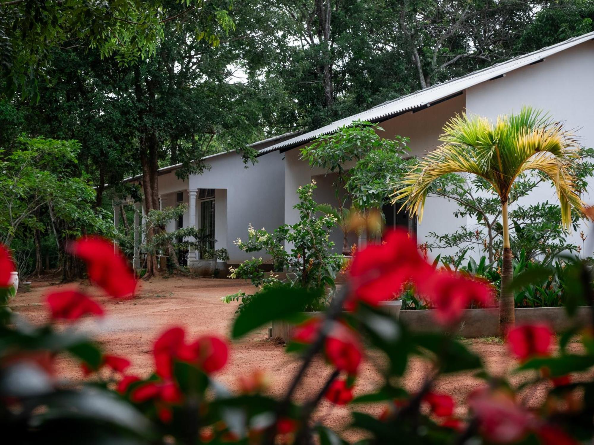 Sapphire Garden Hotel Habarana Exterior foto